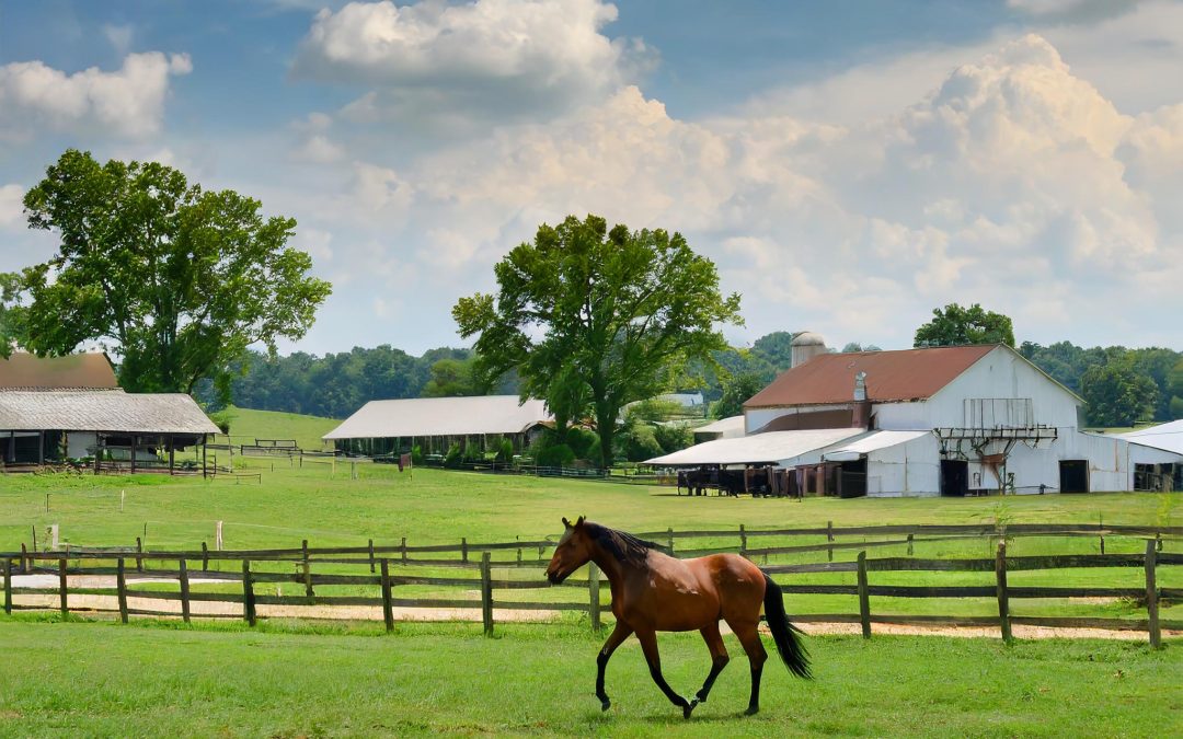 Boost Your Central Kentucky Small Business with Thoroughbred Innovation: A #1 Game-Changer for Web Presence and Growth