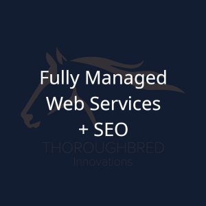 Fully Managed Web Services and SEO
