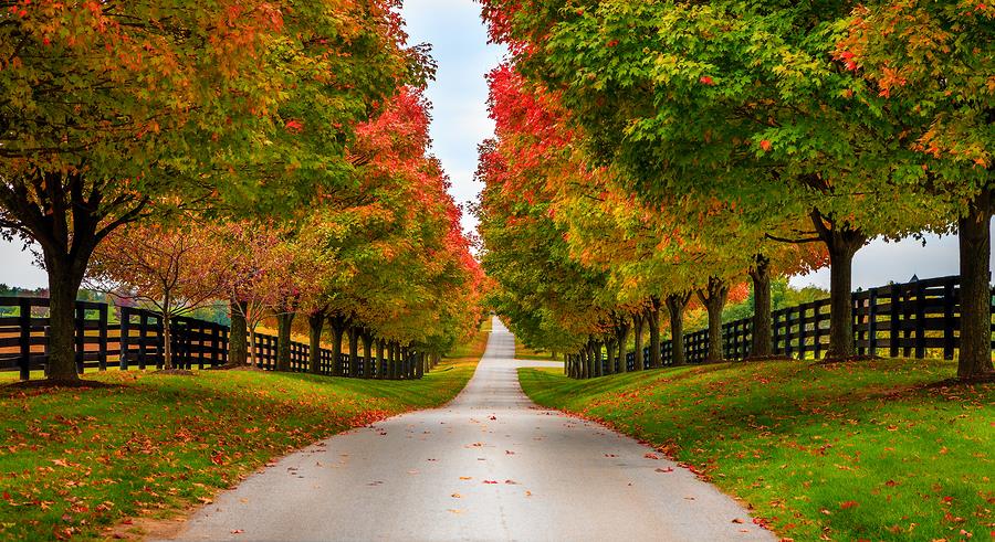 web design company lexington