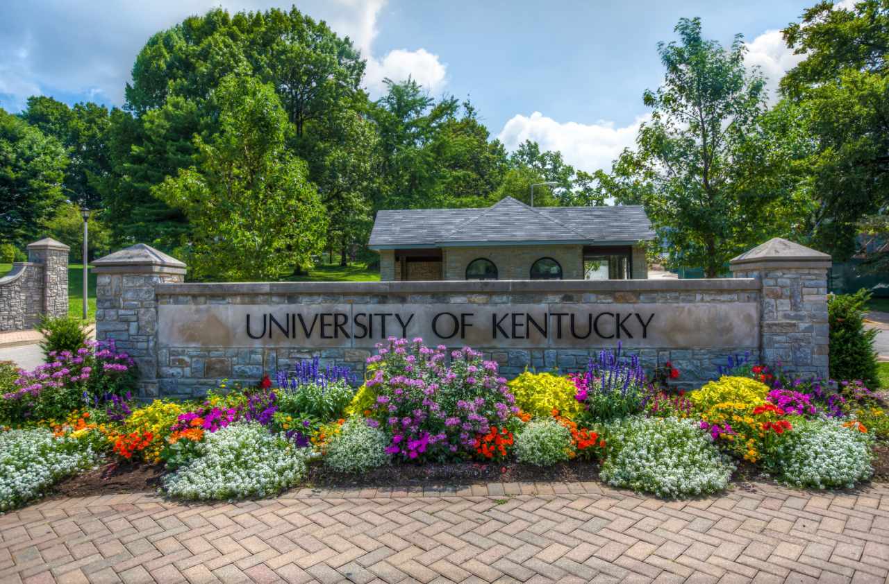 lexington ky web design