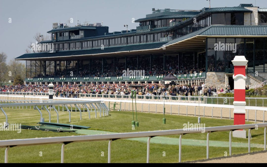 Why Thoroughbred Innovations Is the Best Web Design Company Lexington Kentucky Has