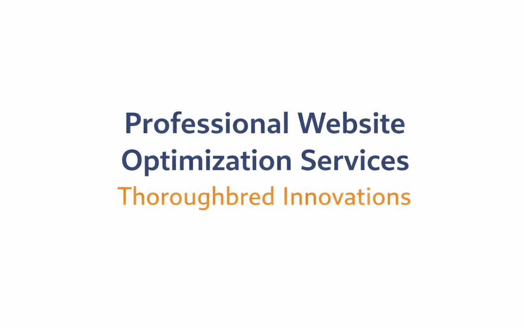 Why Your Business Needs Professional Website Optimization Services