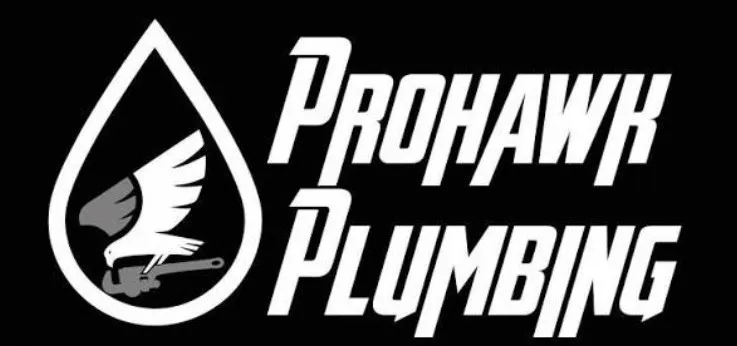 Home 2 prohawk result